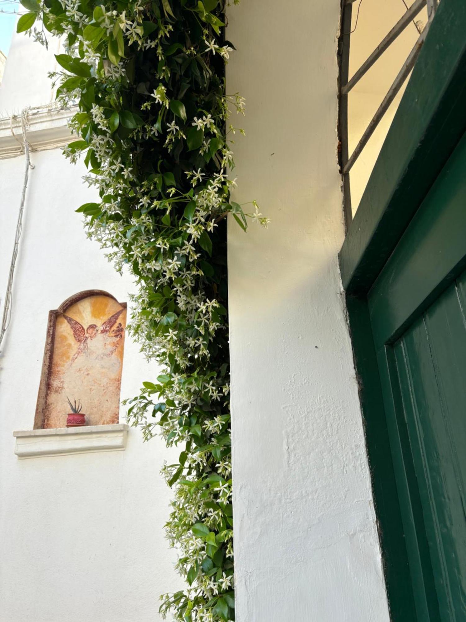 B&B Antica Dimora Dell'Angelo Nardò Екстериор снимка